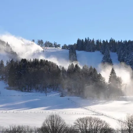 Feine Apartment Willingen (Upland)