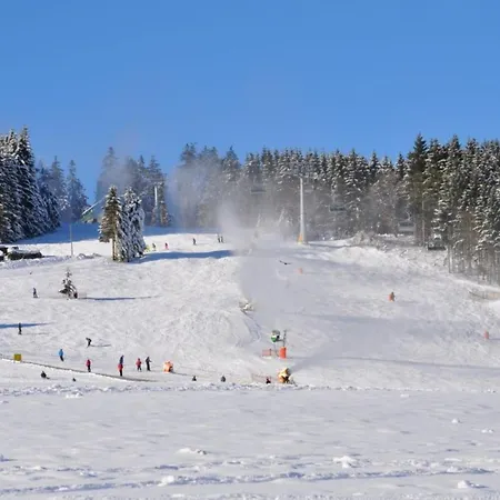 Feine Apartment Willingen (Upland)