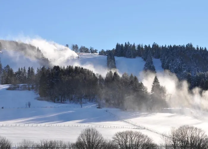 Feine Apartment Willingen (Upland)