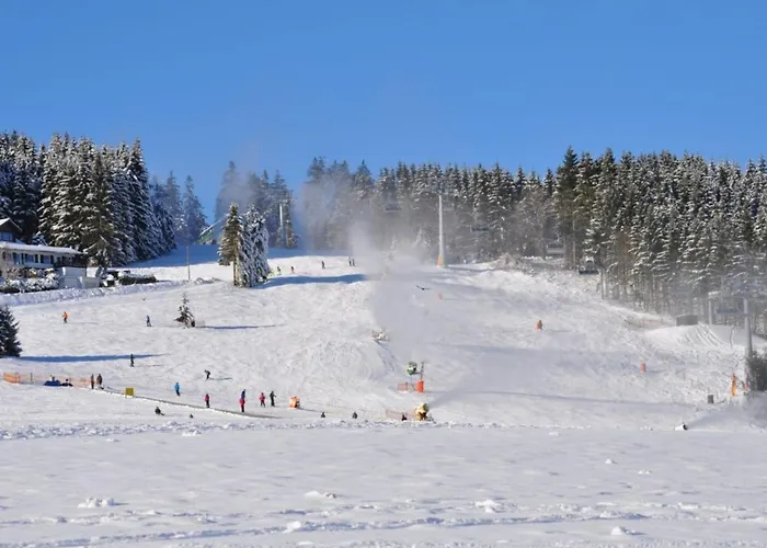 Feine Apartment Willingen (Upland)